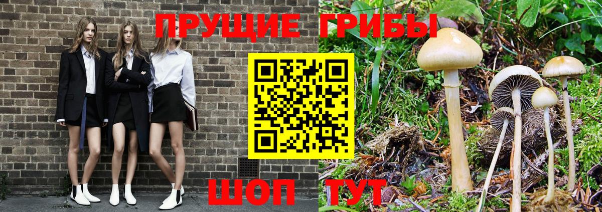 Псилоцибиновые грибы GOLDEN TEACHER Глазов