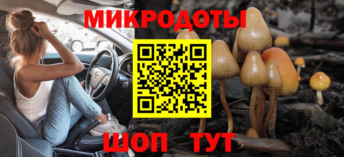 Псилоцибиновые грибы Cubensis  Глазов 